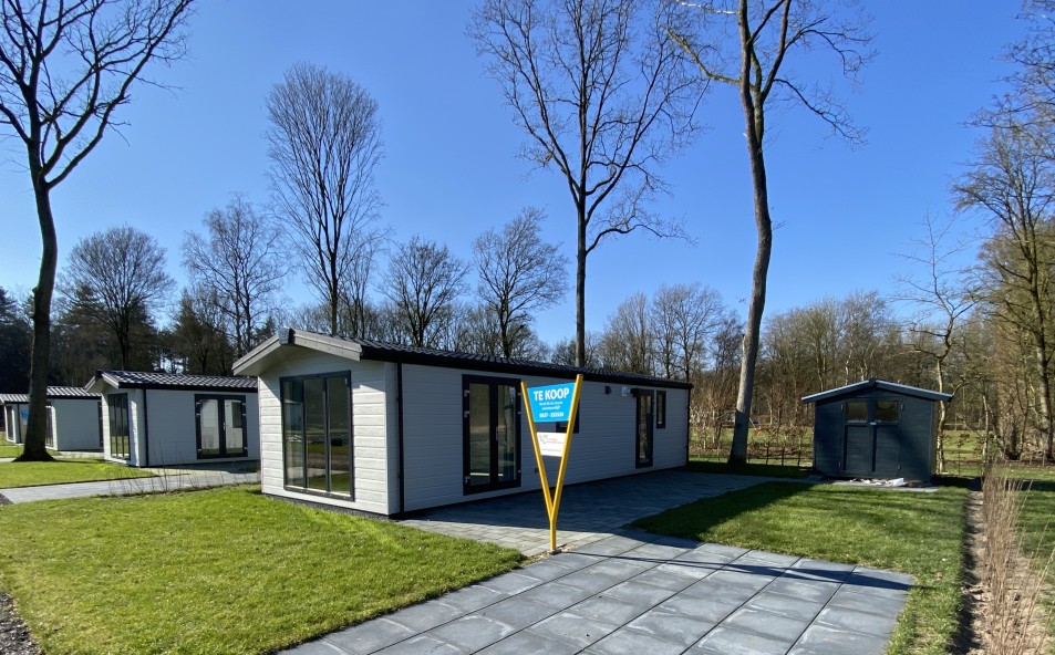 Gallery image 1