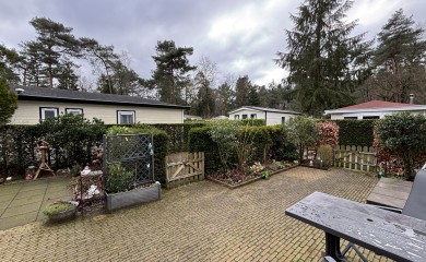 img-6