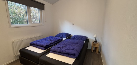 Gallery image 7