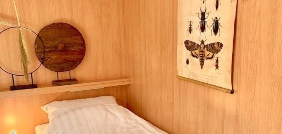 Gallery image 6