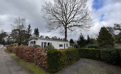 img-11