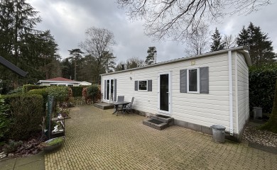 img-1